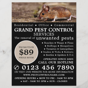 Maus, Pest Kontrolle Werbung Flyer