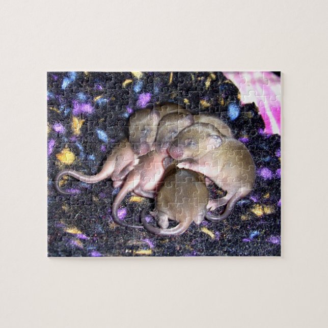 Maus Puzzle: Baby Agouti Mice Puzzle (Horizontal)
