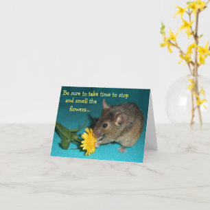 Maus Riechende Blume Karte