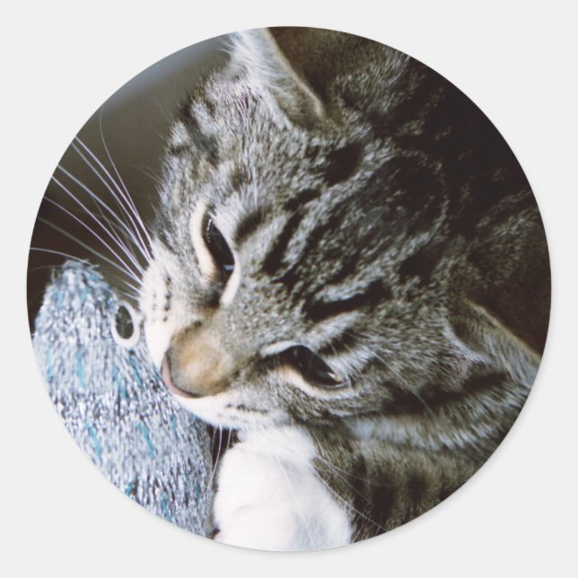 Maus Runder Aufkleber (Vorderseite)