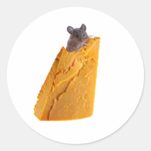 MAUS UND KÄSE AUF KLEINEN RUNDER AUFKLEBER