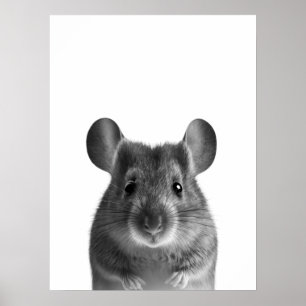 Maus Wald Moderne Porträt Schwarz Weiß Poster