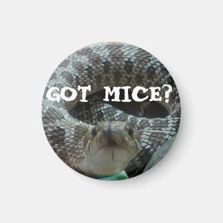 Mäuse got? Hognose Magnet