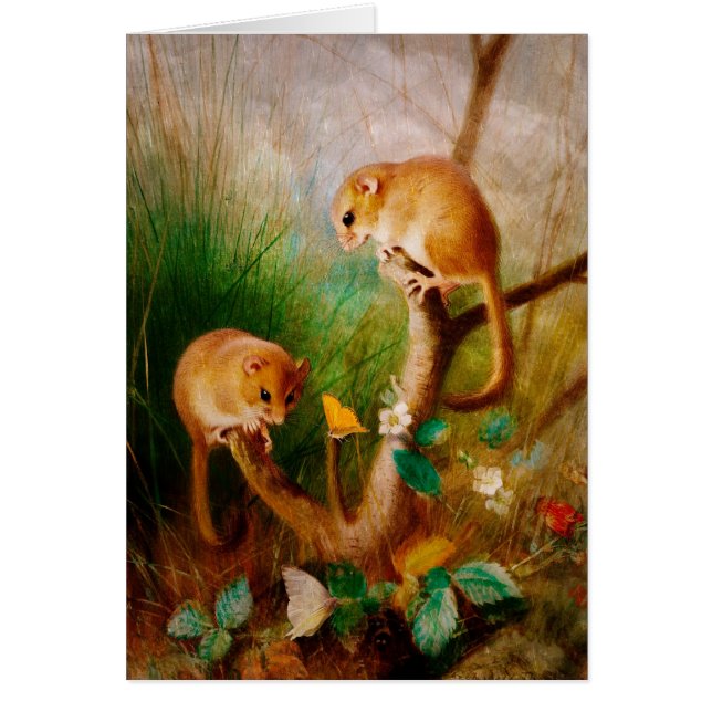 Mäuse sind Nizza (Vorne)