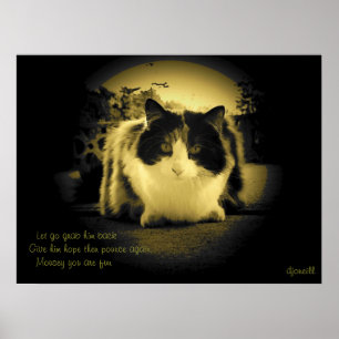 Mäuse sind Spaß Peep Hole Kitty Haiku Poster