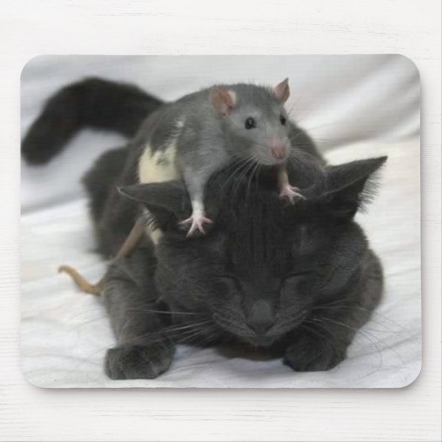 Mäuse- und KatzenMausunterlage Mousepad (Vorne)
