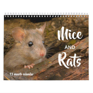 Mäuse und Ratten 2025 Kalender
