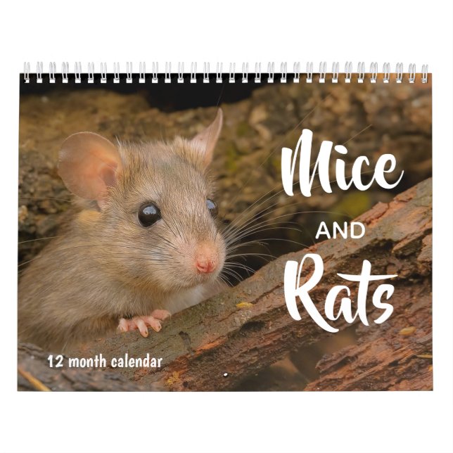 Mäuse und Ratten 2027 Kalender (Titelbild)