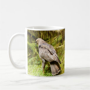 Mäusebussard sucht Wieseninsekten Britische Tierwe Kaffeetasse
