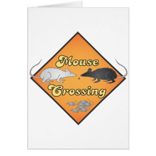 Mäuseüberfahrt