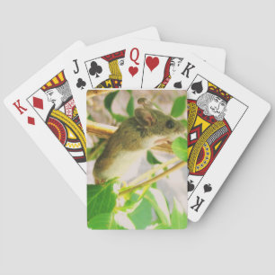 Mauskarten Spielkarten