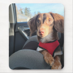 Mausklick mit Kio auf den Welpen Mousepad