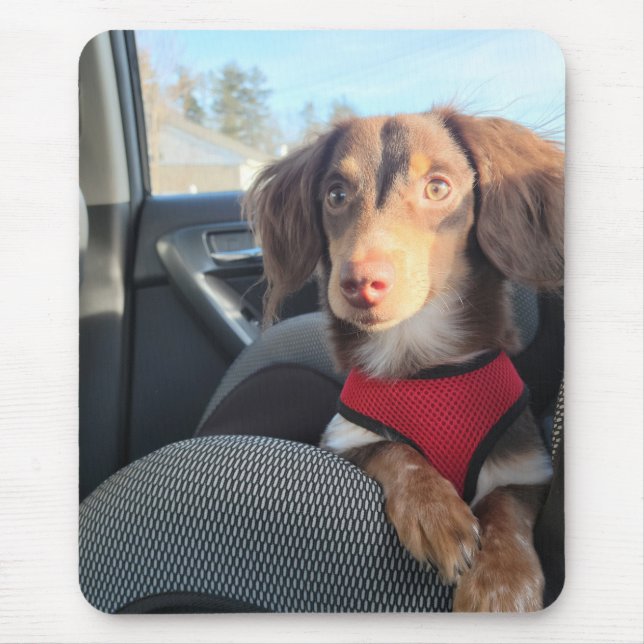 Mausklick mit Kio auf den Welpen Mousepad (Vorne)