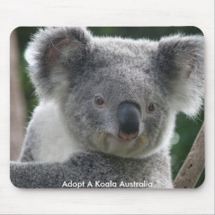 Mauspad Adoptiere ein Koala Australien