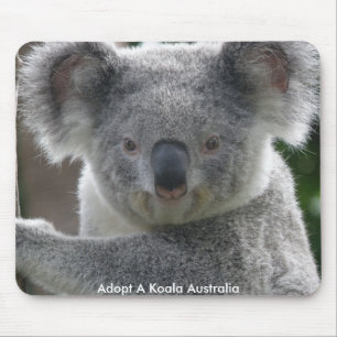 Mauspad Adoptiere ein Koala Australien