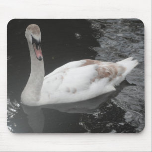 Mauspad Baby Schwan Schwimmen