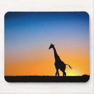 Mauspad Giraffe Sonnenuntergang