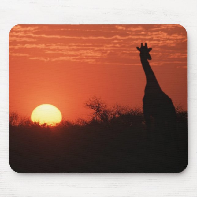 Mauspad Giraffe Sonnenuntergang (Vorne)