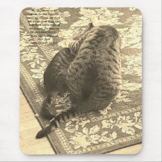 Mauspad Katze hilft Kätzchen