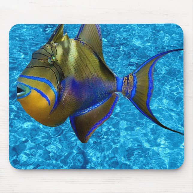 Mauspad mit Blauwasser-Design (Vorne)