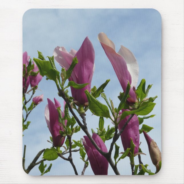 Mauspad mit magnolischen Blume (Vorne)
