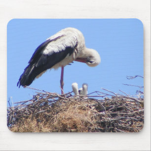Mauspad mit Vögeln
