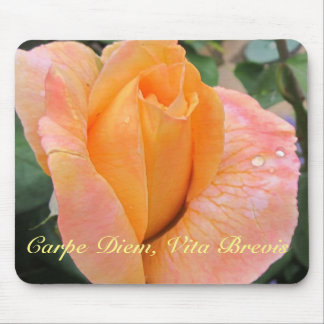 Mauspad--Orange Rose mit Regentropfen Mousepad