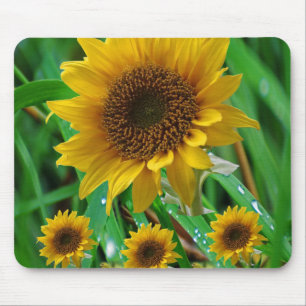 Mauspad Sonnenblume
