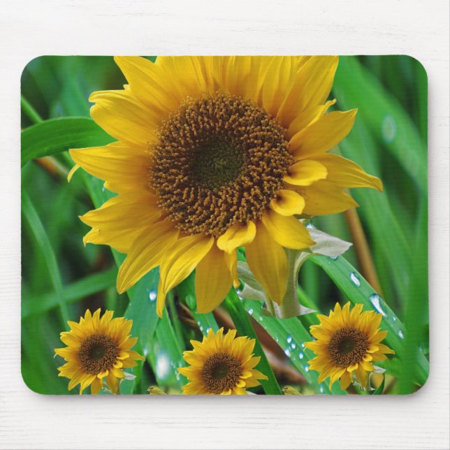 Mauspad Sonnenblume (Vorne)