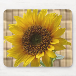 Mauspad Sonnenblume