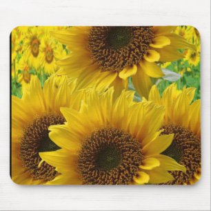 Mauspad Sonnenblume