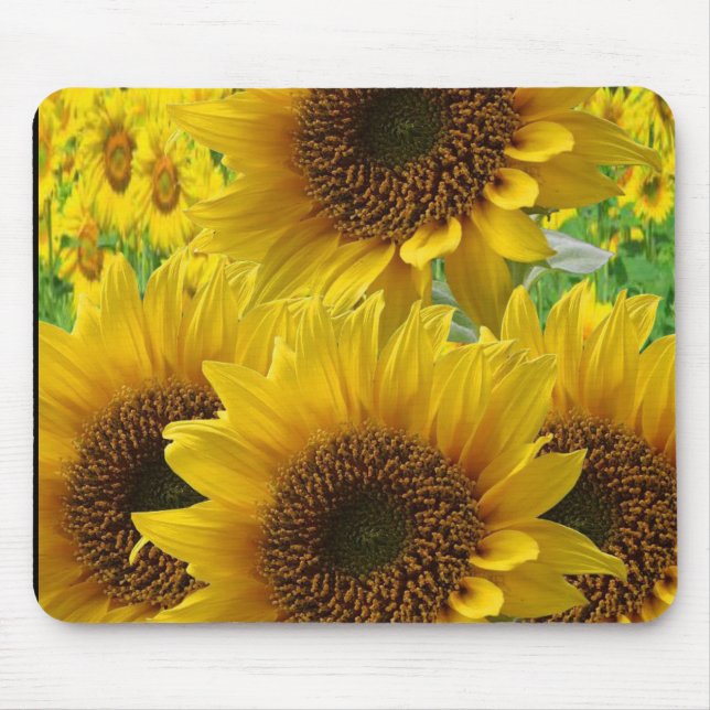 Mauspad Sonnenblume (Vorne)