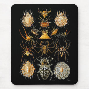 Mauspad Vintage Künstler Ernst Haeckel Arachnida