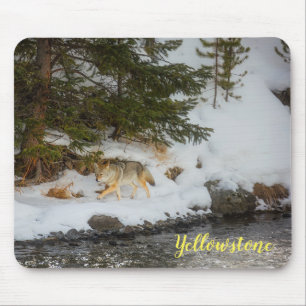 Mauspad-Yellowstone Kojote Mousepad
