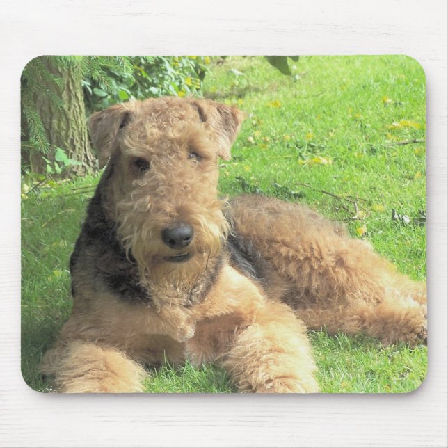 Mausunterlage Airedales Terrier Mousepad (Vorne)