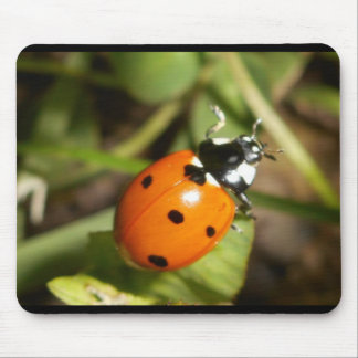 Mausunterlage Damen-Bug Mousepad
