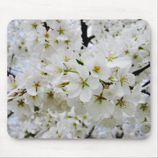 Mausunterlage der Kirschblüten-3 Mousepad
