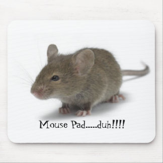 Mausunterlage ..... duh!!!! mousepad