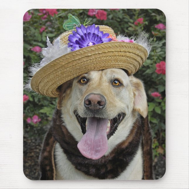 Mausunterlage Fräulein-Pickles Mousepad (Vorne)
