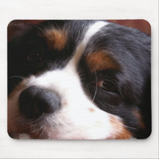 Mausunterlage König-Charles Cavalier Spaniel Mousepad