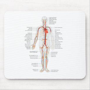 Mausunterlage-menschliches Kreislaufsystem der Mousepad