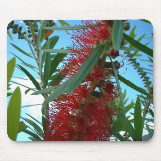 Mausunterlage Mousepad