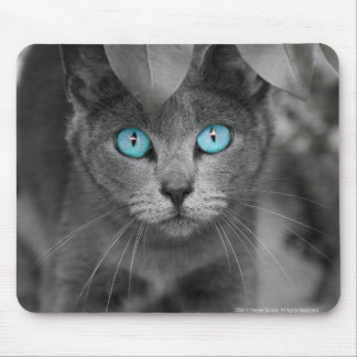 Mausunterlage Mousepad