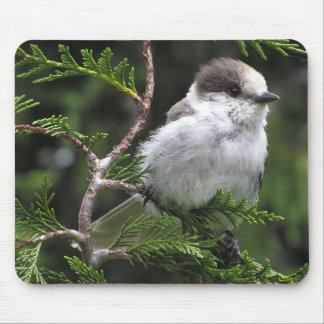 Mausunterlage Mousepad