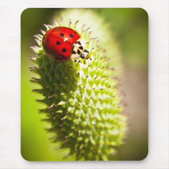 Mausunterlage Mousepad (Vorne)