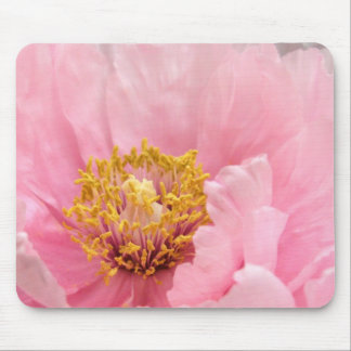 Mausunterlage: Rosa Baum-Pfingstrose Mousepad