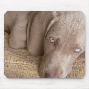Mausunterlage SchlafensWeimaraner Mousepad
