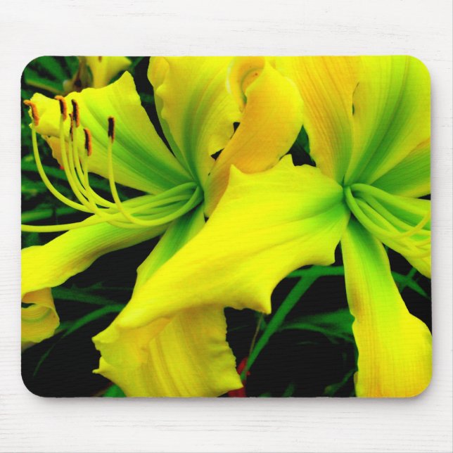 Mausunterlage: Taglilie Mousepad (Vorne)
