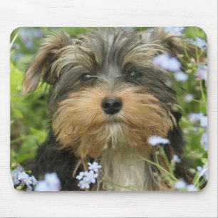 Mausunterlage Yorks Terrier Mousepad