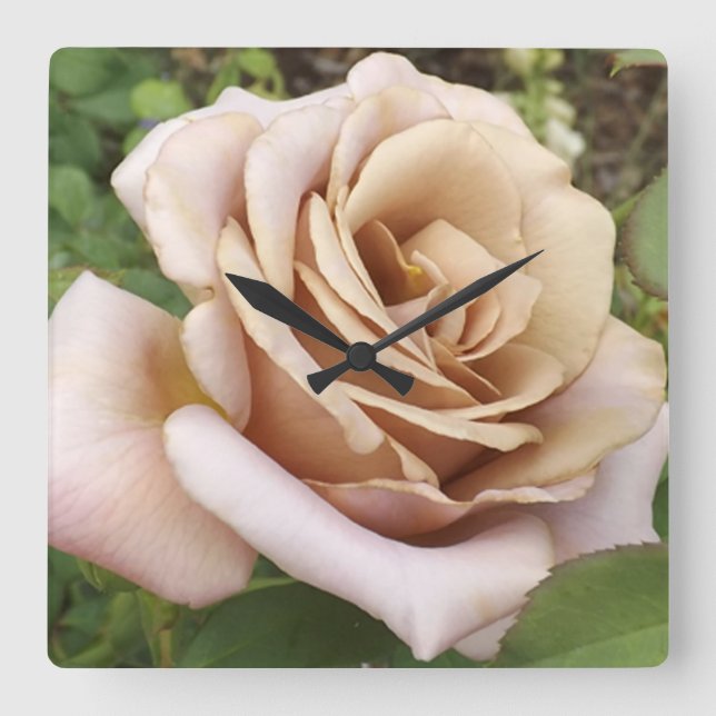 Mauve Rose Quadratische Wanduhr (Vorderseite)